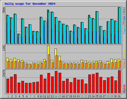 Daily usage for December 2024