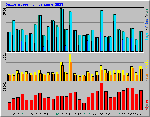 Daily usage for January 2025