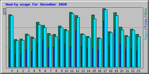 Hourly usage for December 2020