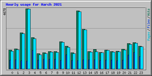 Hourly usage for March 2021