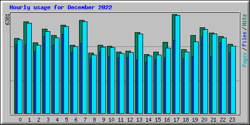 Hourly usage for December 2022