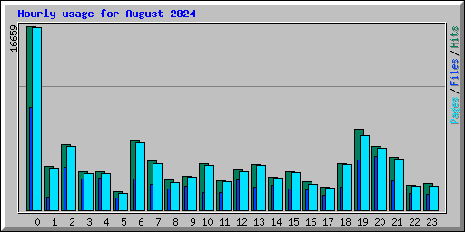 Hourly usage for August 2024