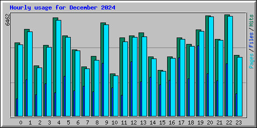 Hourly usage for December 2024