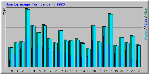 Hourly usage for January 2025