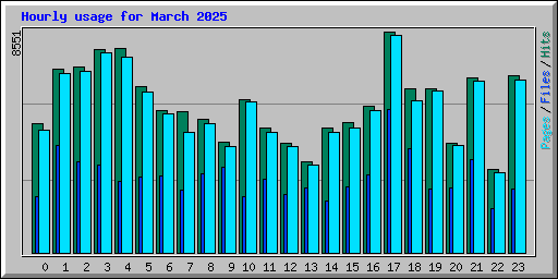 Hourly usage for March 2025