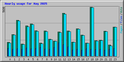 Hourly usage for May 2025