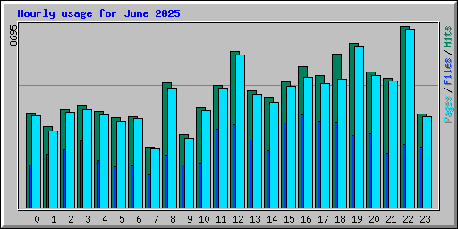 Hourly usage for June 2025