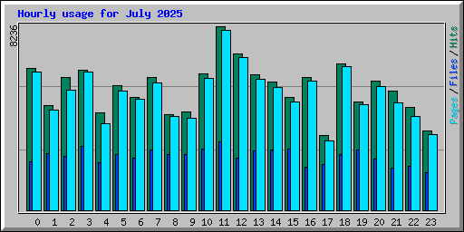 Hourly usage for July 2025