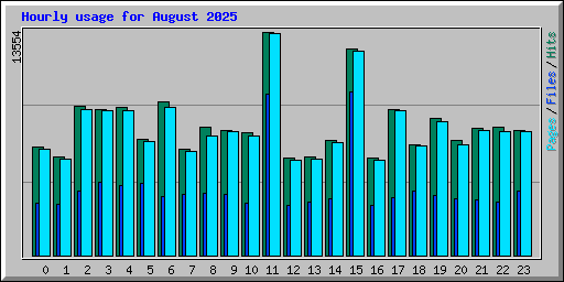 Hourly usage for August 2025