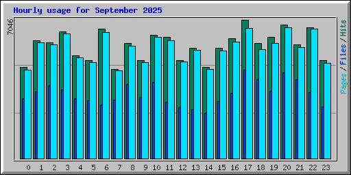 Hourly usage for September 2025