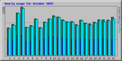 Hourly usage for October 2025