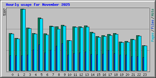Hourly usage for November 2025