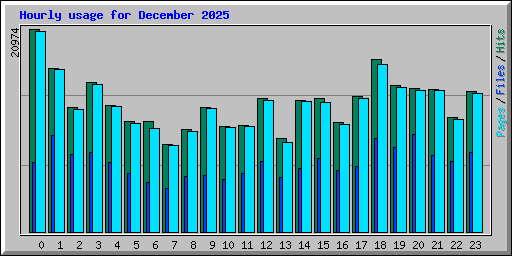 Hourly usage for December 2025