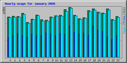 Hourly usage for January 2026
