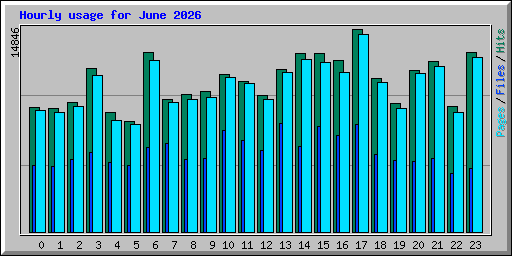 Hourly usage for June 2026